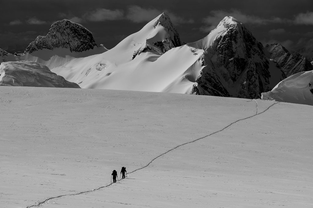 VIMFF the curve of time 1