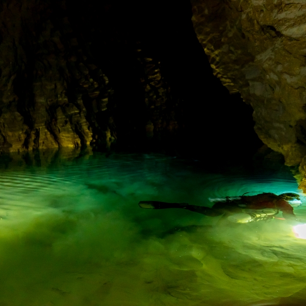 VIMFF the ario dream 600x600