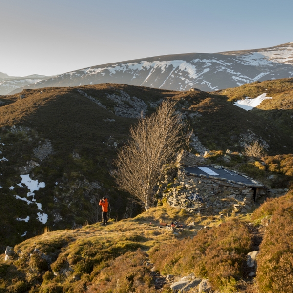 VIMFF this way up 2 600x600