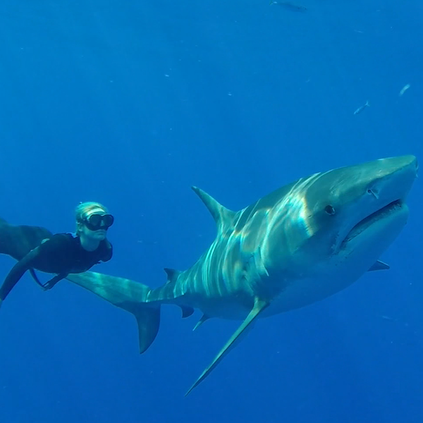 She is the ocean vimff 2019 featured