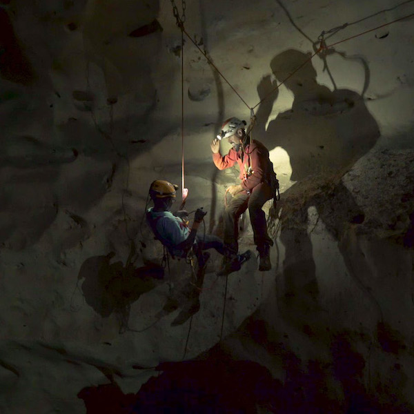 anba vimff 2019 featured