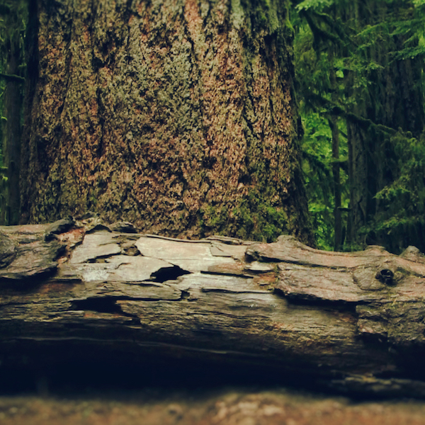 beyond climate film vimff 2019 featured