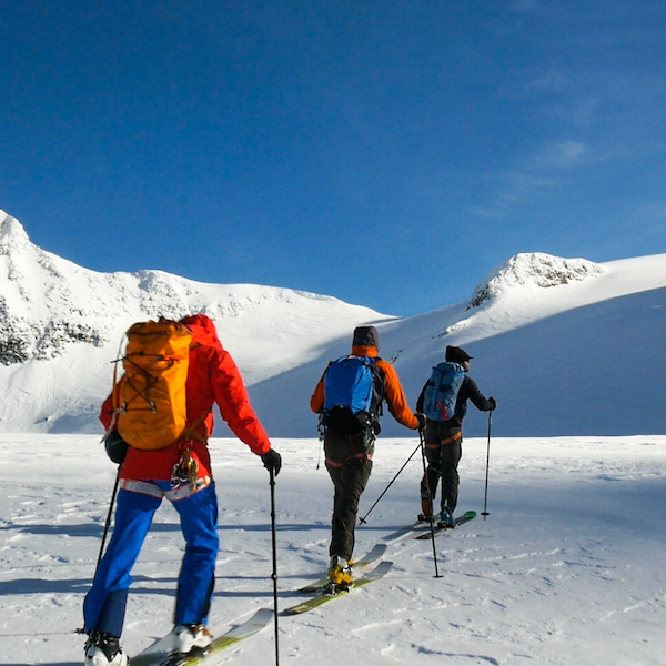 choose your own adventure vimff 2019 featured