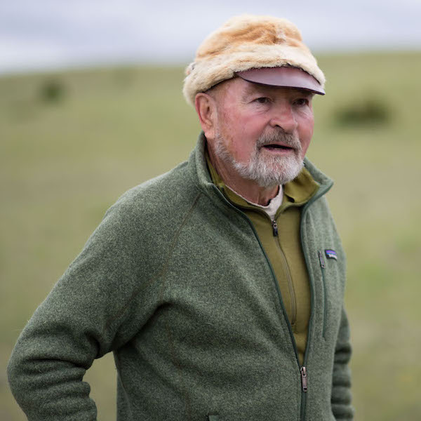 grizzly country vimff 2019 FEATURED