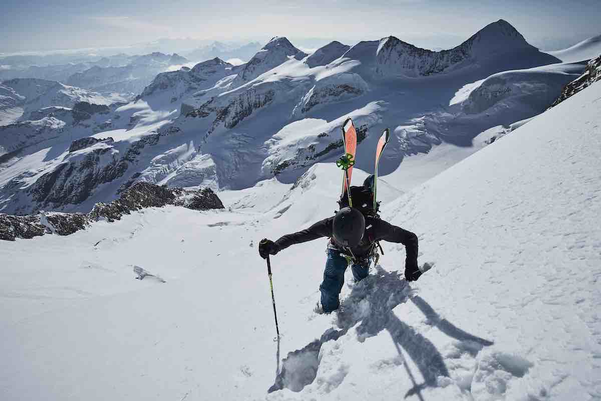 ice and palms vimff 2019 1