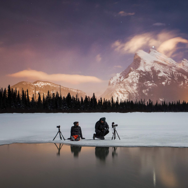 into the starlight vimff 2019 featured