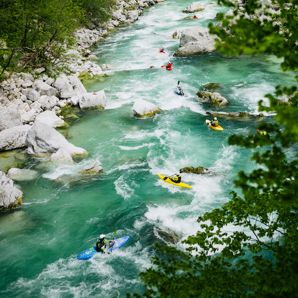 the undamaged vimff 2019 featured