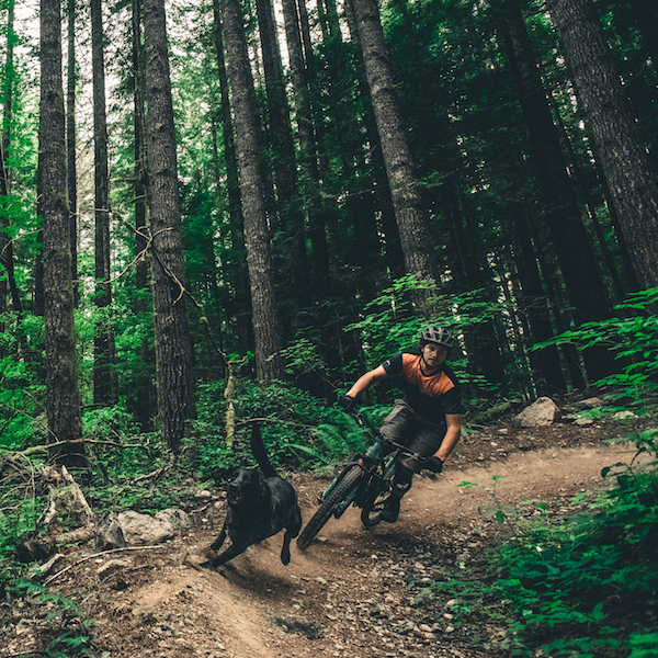 VIMFF 2020 FROM SLIDE TO RIDE FEATURED