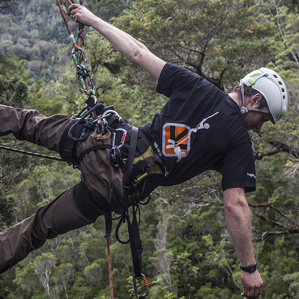 vimff 2020 ancient giants featured