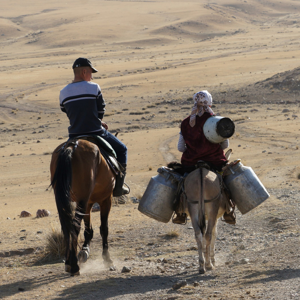 vimff fall series 2020 my horse my destiny featured