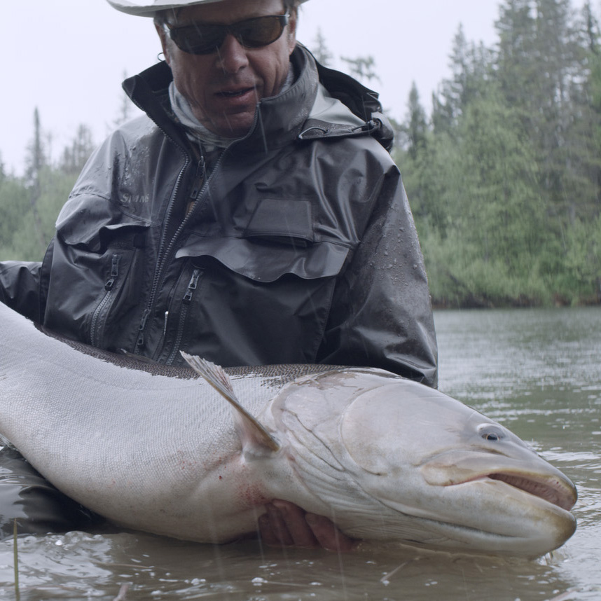 vimff fall series 2020 river tigers featured