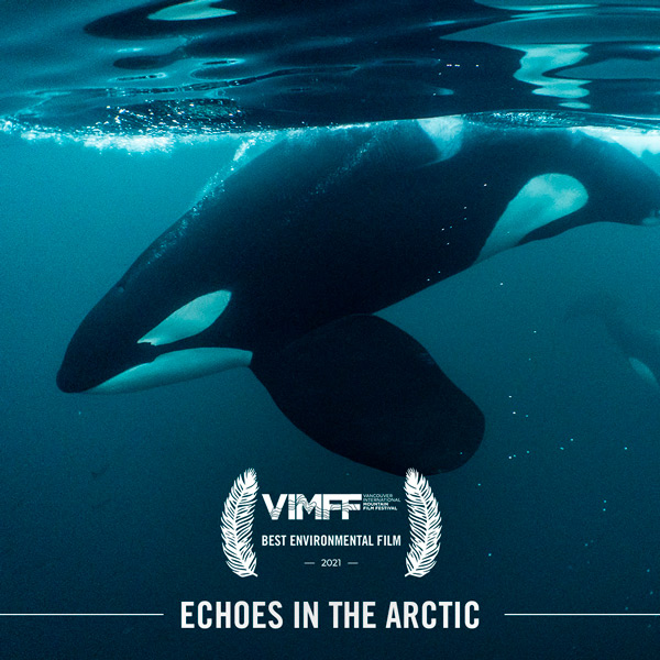 VIMFF 2021 Film AWARDS ENVIRO 600px