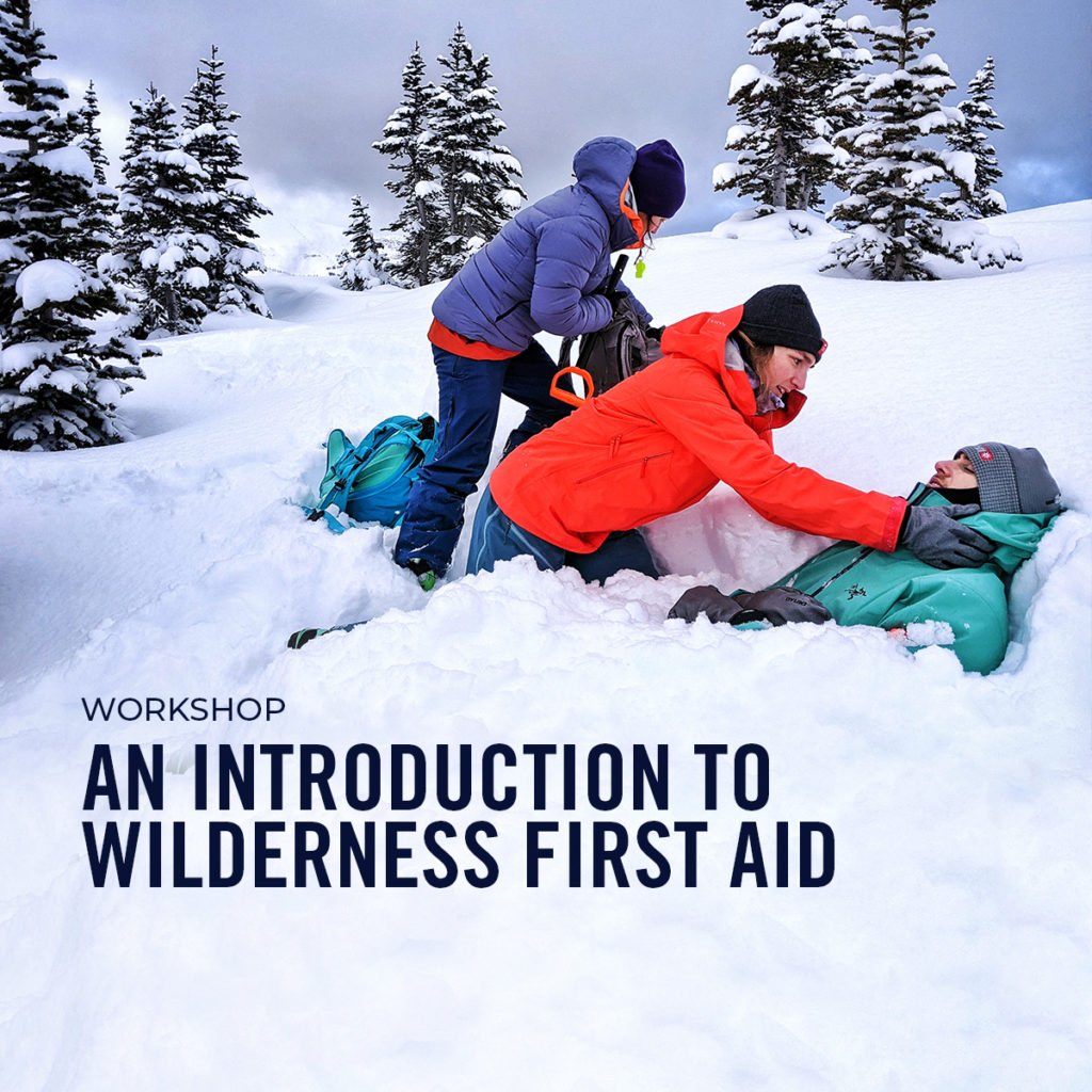 vimff an introduction to wilderness first aid workshop x