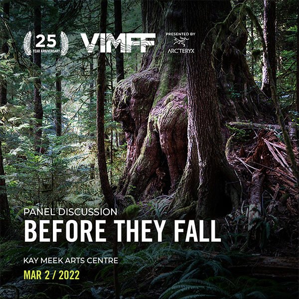 vimff before they fall panel discussion x