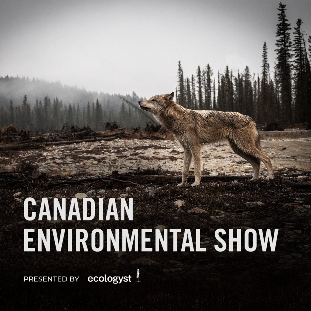 vimff canadian environmental presented by ecologyst X