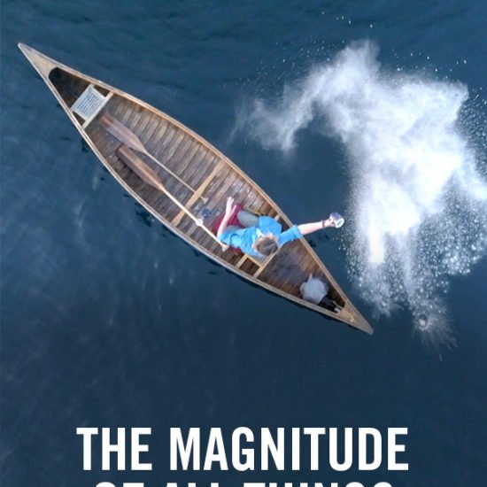 vimff feature film the magnitude of all things