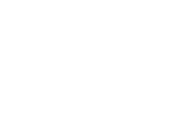 vimff british pacific properties partner x