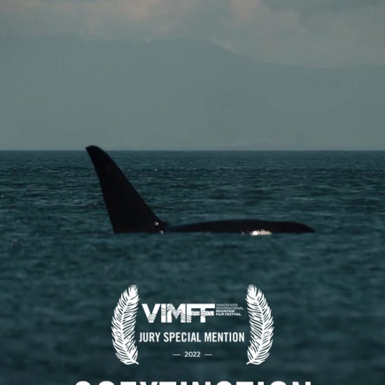 vimff film awards jury special mention coextinction x