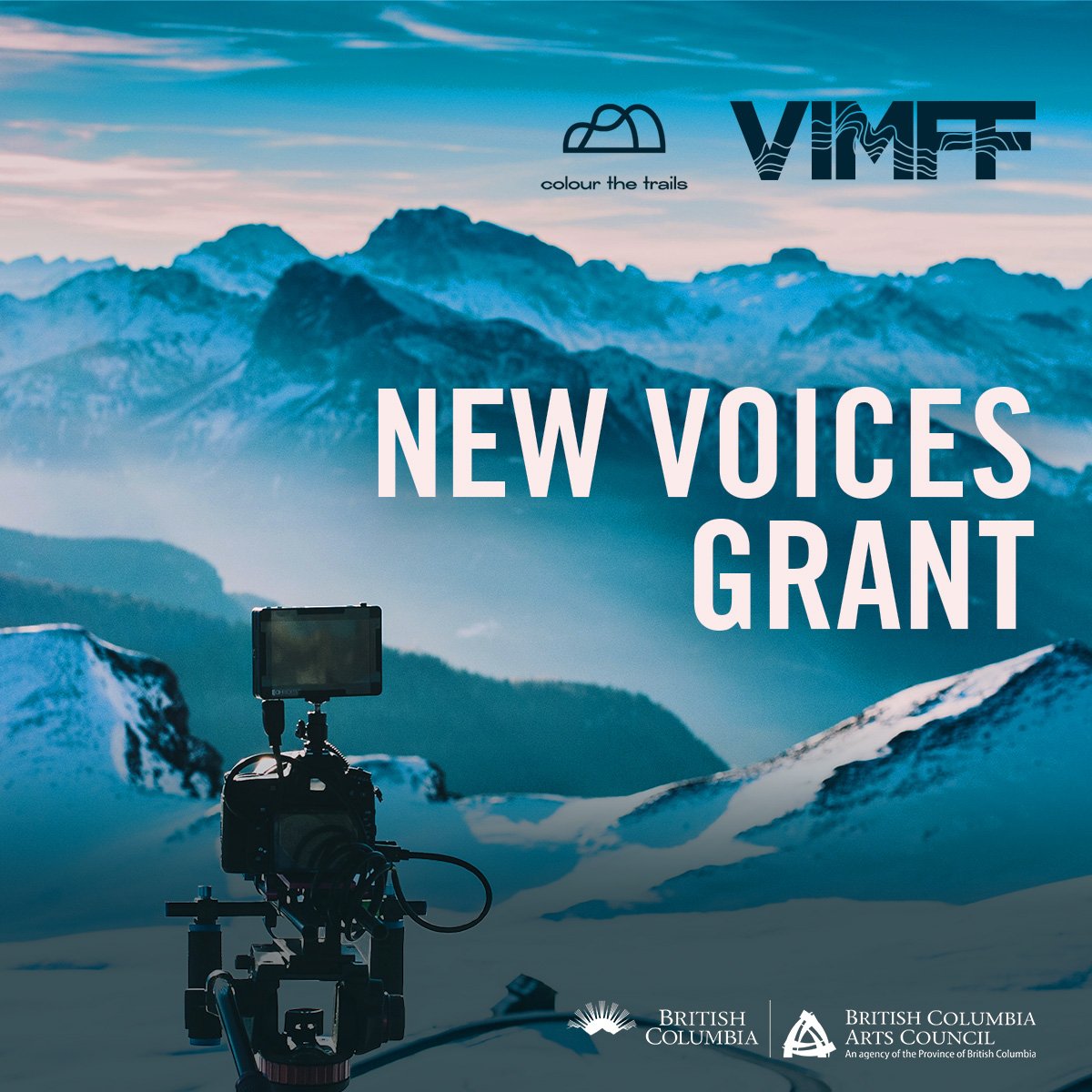 vimff new voices grant X