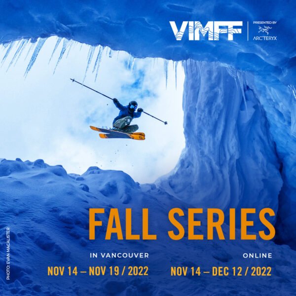 vimff fall series x