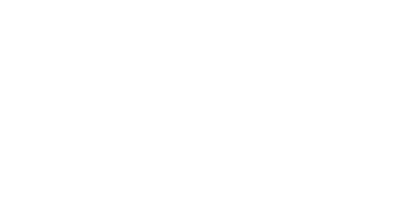 vimff film awards x white