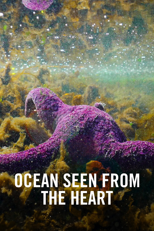 VIMFF Fall Series Films x Ocean seen from the heart