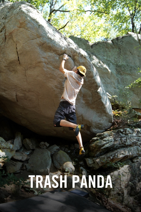 VIMFF Films x Trash Panda