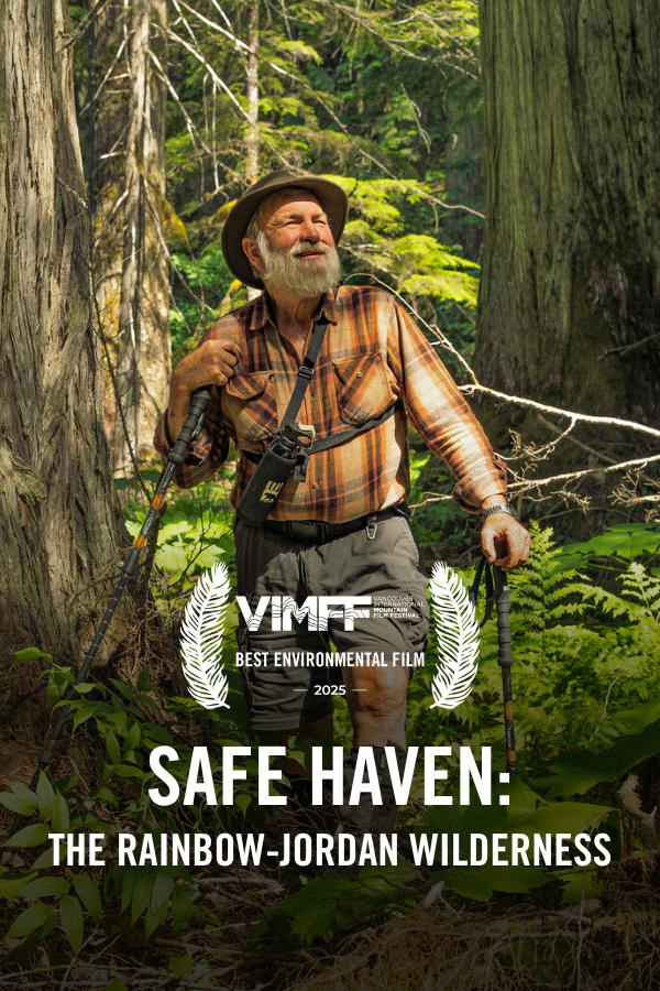 vimff safe haven best environmental film x