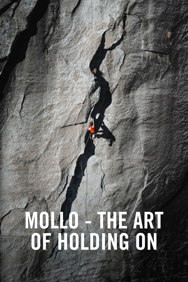 VIMFF X Mollo The Art Of Holding On
