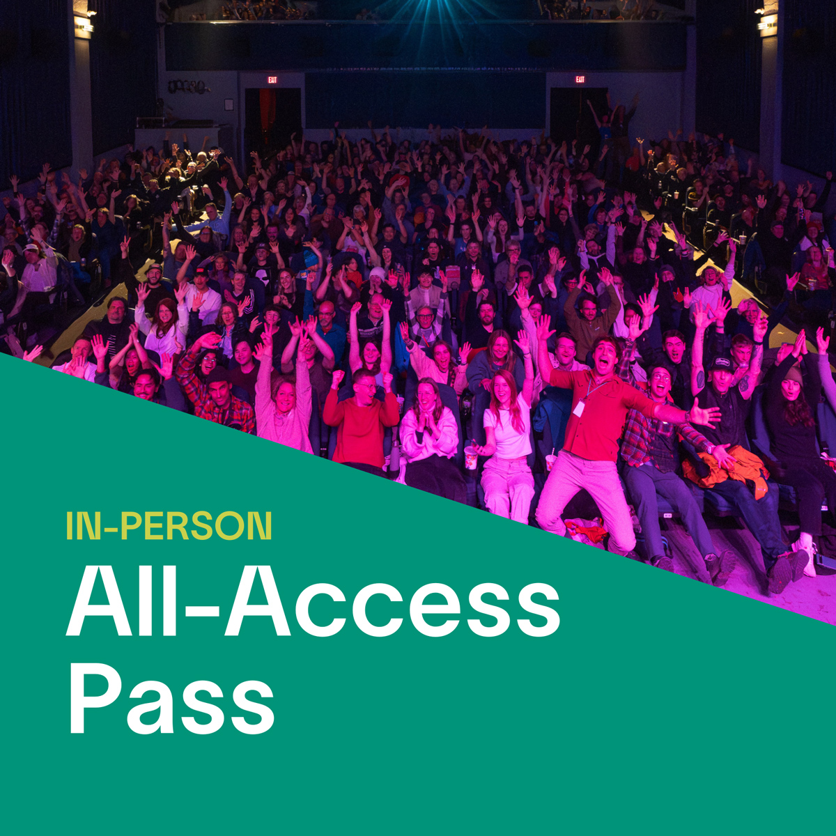 VIMFF All Access Pass x