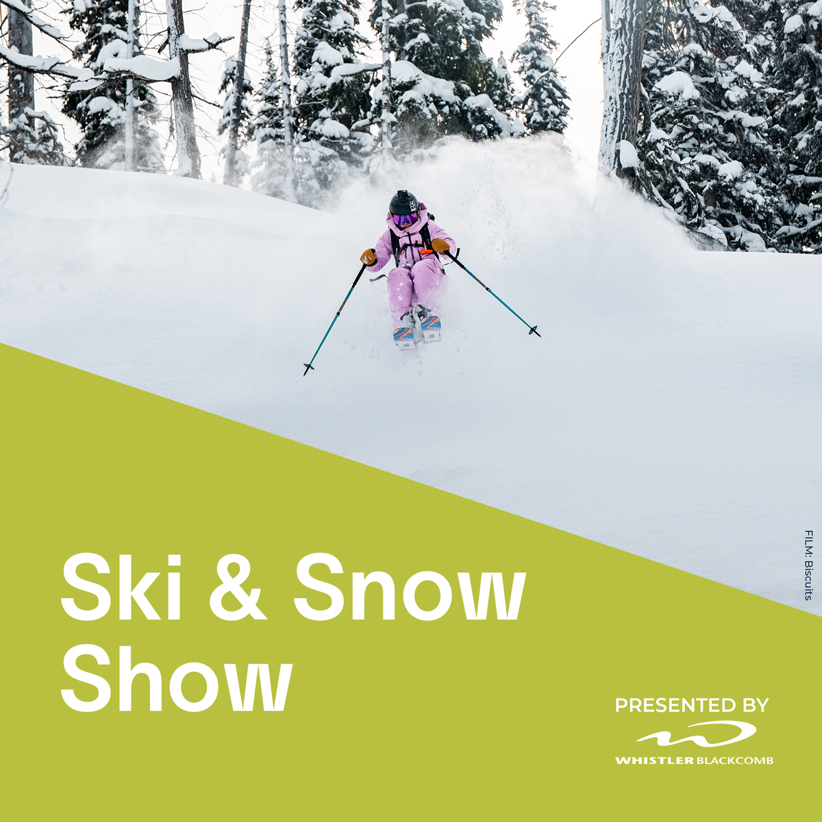vimff fall series Ski and Snow Show