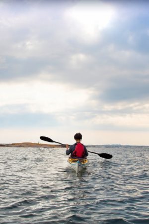 HeroShot VIMFF FreedomFA 600x600