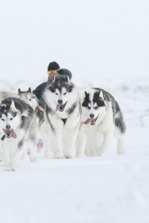 MyIrnik Kuujjuaq FrancoisLebeau 003 600x600