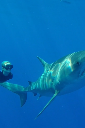 She is the ocean vimff 2019 featured