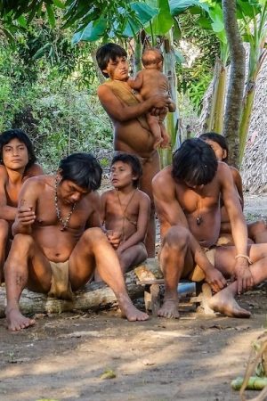 Spirit of Jaguar vimff 2019 FEATURED 2