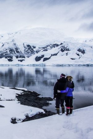 VIMFF 2020 iceolation featured