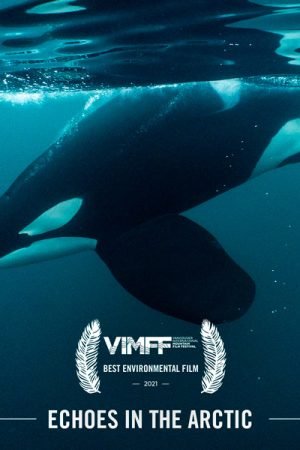 VIMFF Film AWARDS ENVIRO px