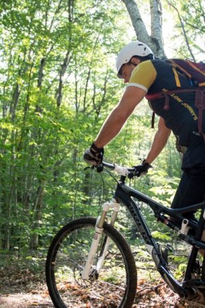 VIMFF Ascend 600x600