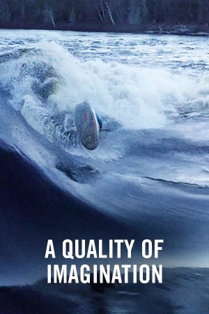 VIMFF FS A Quality of Imagination x