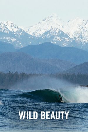 VIMFF FS Wild Beauty x