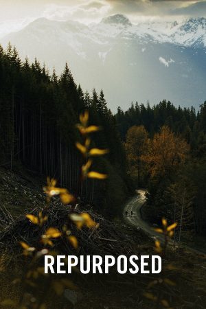 VIMFF Fall Series Bike Show Repurposed