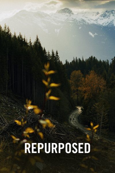 VIMFF Fall Series Bike Show Repurposed