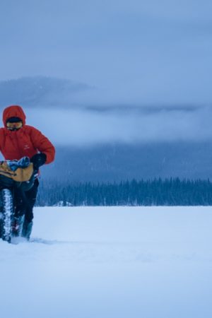 VIMFF ben page 5 600x600