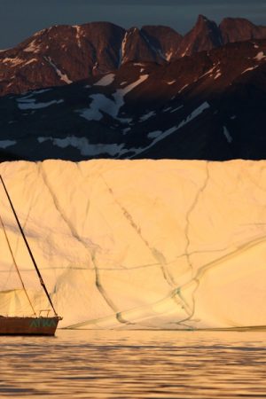 VIMFF captain of utopia 600x600