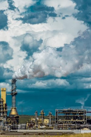 VIMFF directly affected 600x600