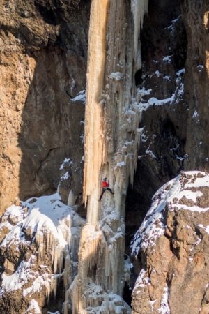 VIMFF ephemera 3 600x600