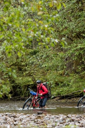 VIMFF foodless odyssey 2 600x600