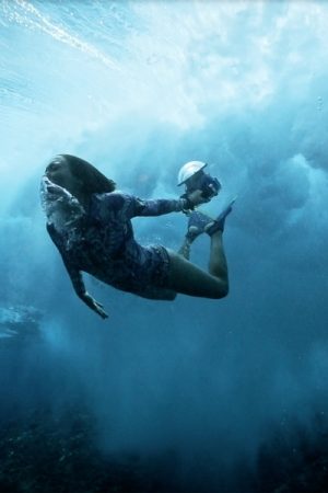 VIMFF in perpetual motion 2 600x600