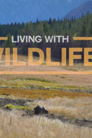 VIMFF living with wildlife 600x600