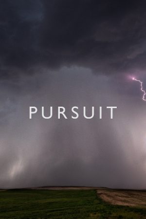 VIMFF pursuit 600x600